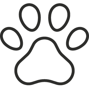 Big Dog Park